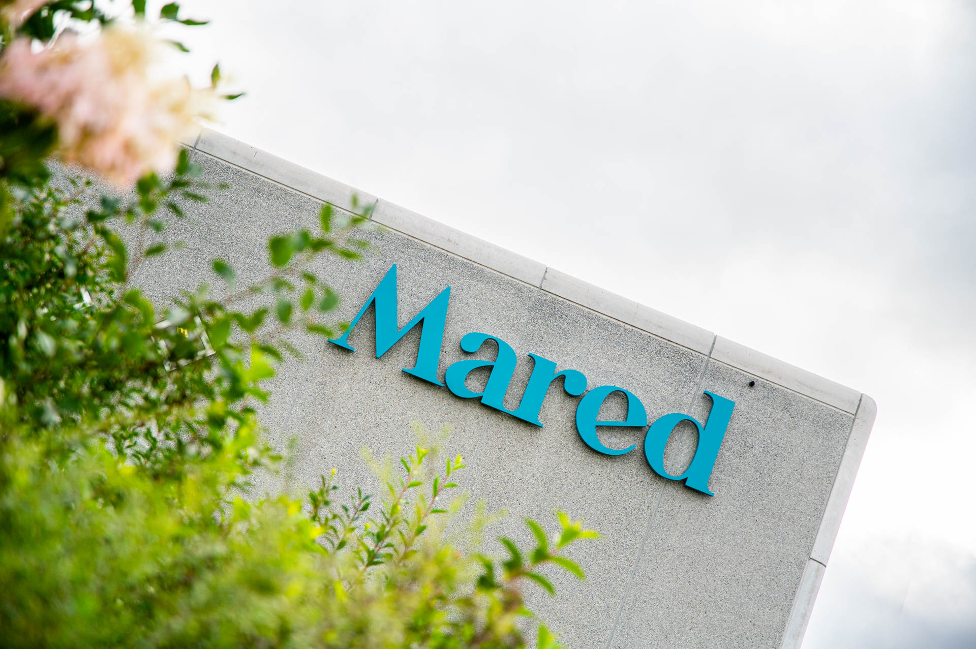 Mared